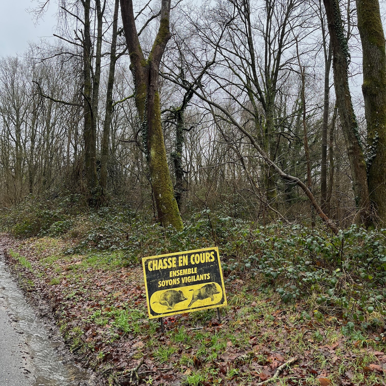 Hunt in progress at the Vexin Français regional natural park