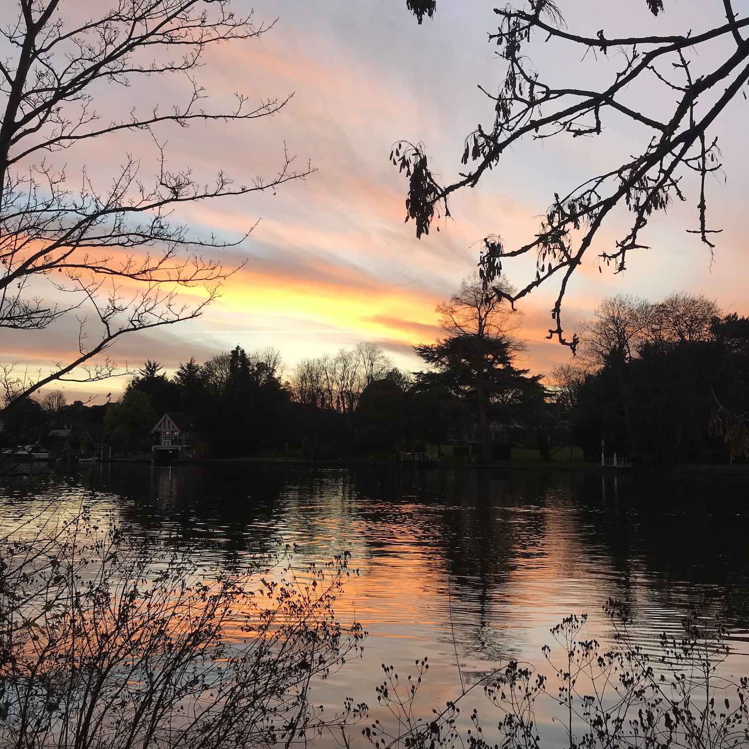 Across the river, someone else's shack, Canbury Gardens looking west (2022)